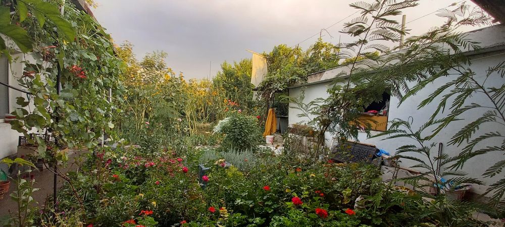 Дом 8 соток парк победы