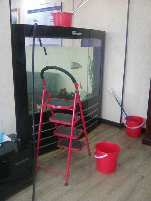 Дима чистка аквариумов