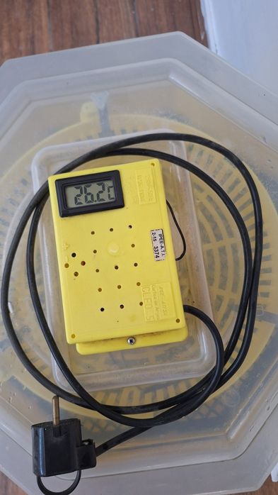 Incubator cleo 5