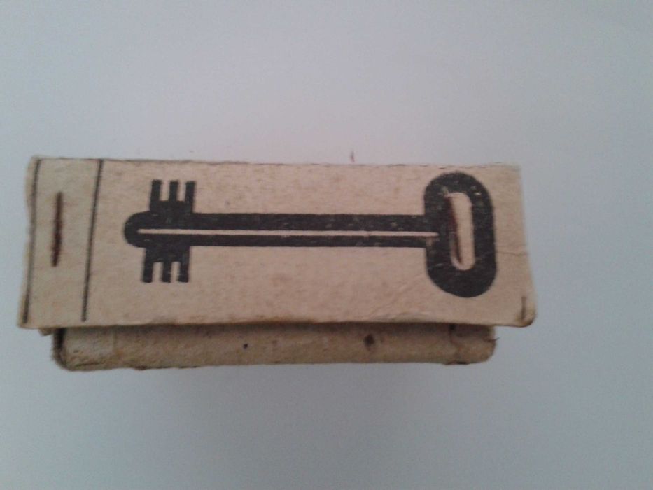 Broasca de siguranta (usa) ingropata cu 4 chei