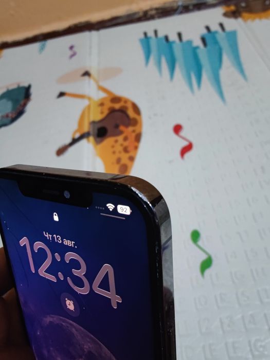 iPhone 12 Pro Max 256gb