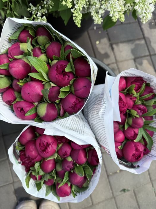 Свежие пышные букеты