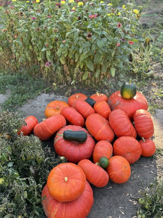 Продам дачу  на Кривом озере.