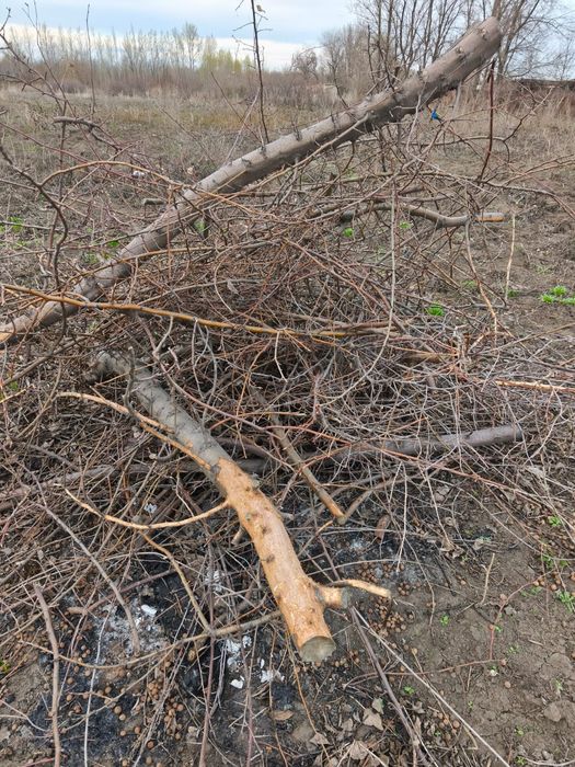 Отдам даром разные дрова и доски