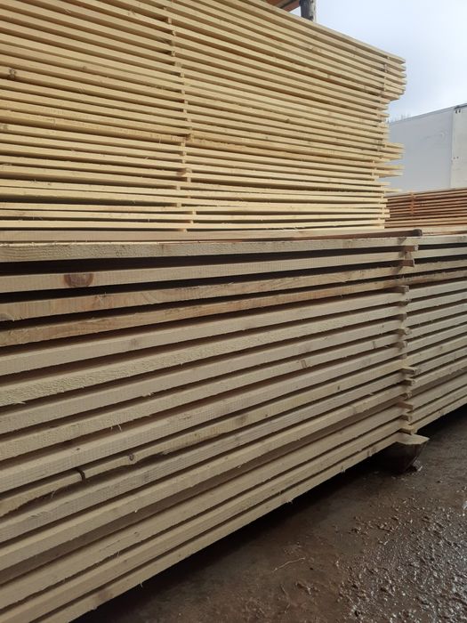 cherestea rășinoase