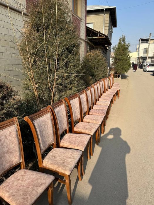 Prakat stol stul zontik 24/7 Аренда стол стул prokat stol stul shirma