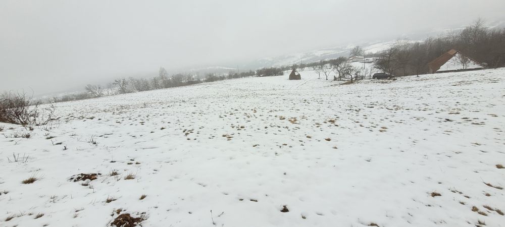 Casa batraneasca și teren