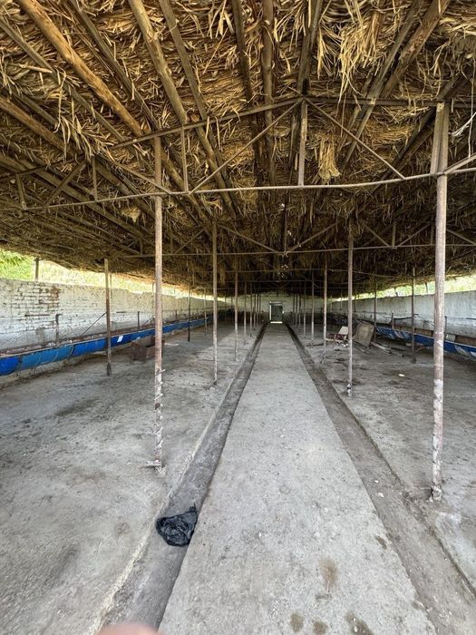 Ферма 21 соток. Янгиюль