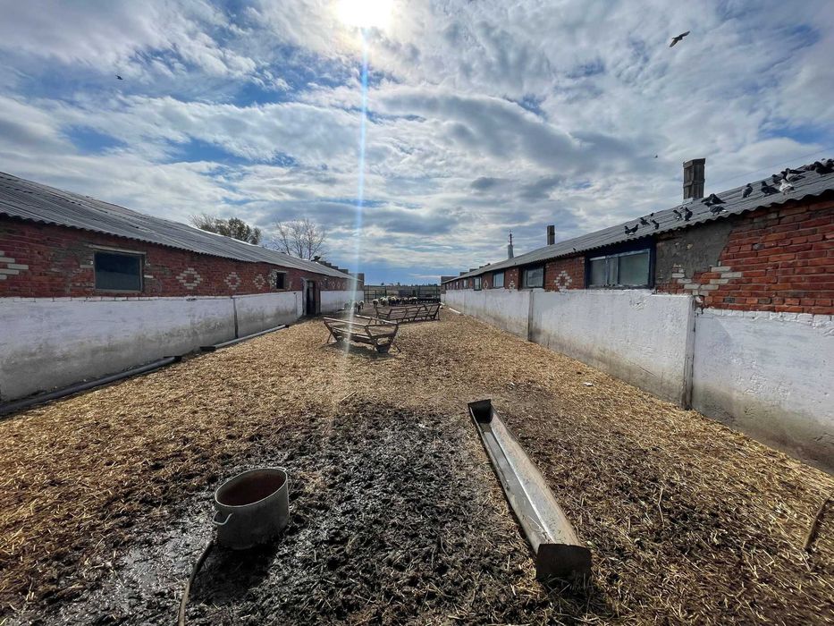 Продажа производства