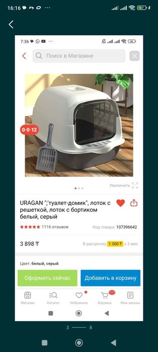 Кошка  в подарок все необходимое