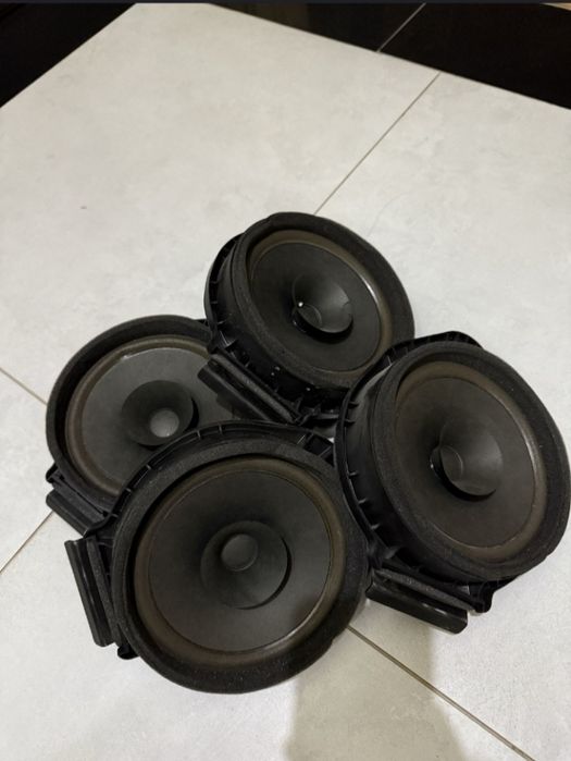 Kobalt radnoy kalonka