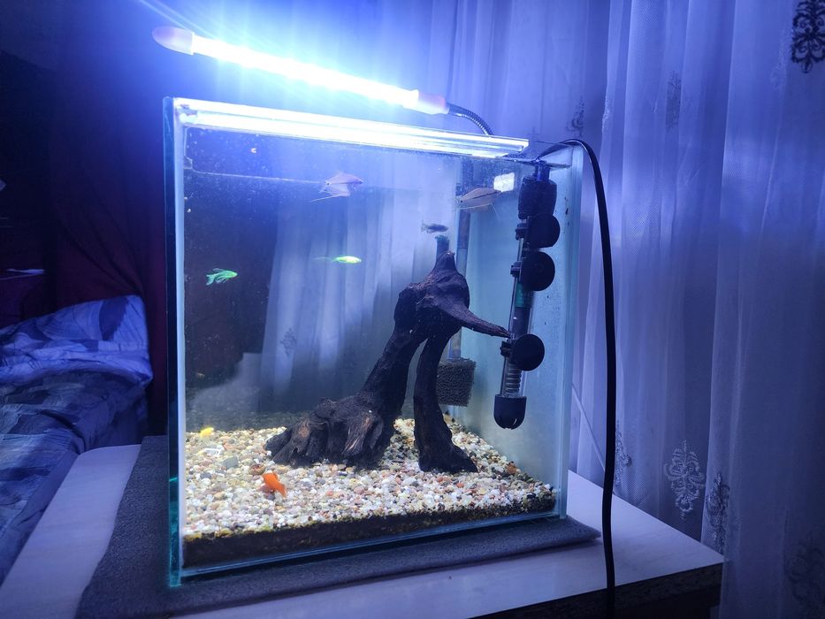 Akvarium Sotiladi 27 litr komplekt xamma narsasi bilan