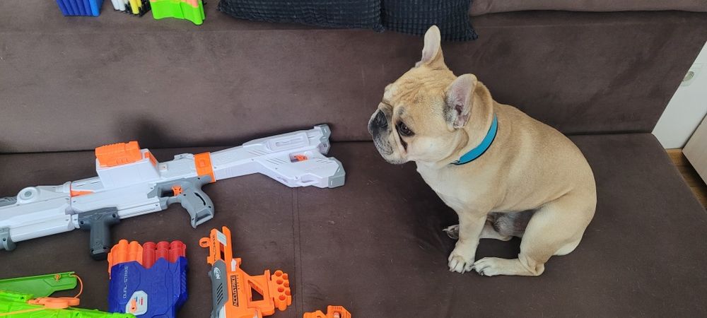 Nurf колекция от 11 броя