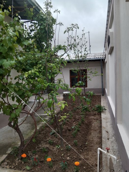 2.4 сотих 3 хона + ошхона