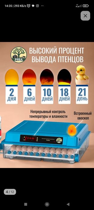 Инкубатор яйиц для циплят