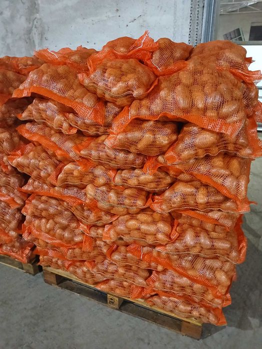 Cartofi alb 50+ direct de la producator