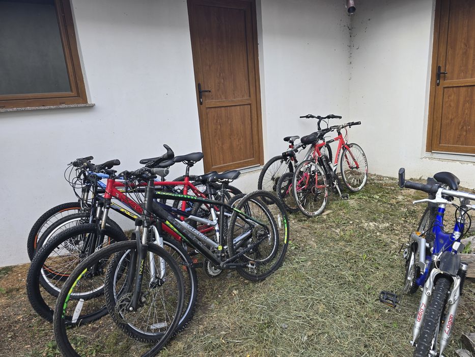 Biciclete de vanzare