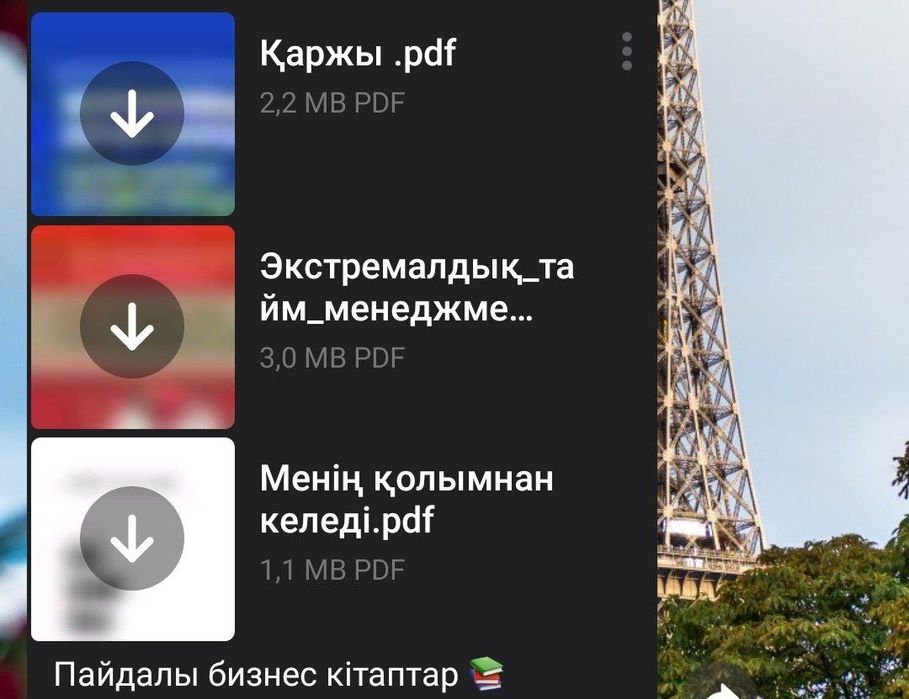 Pdf книги-кітаптар