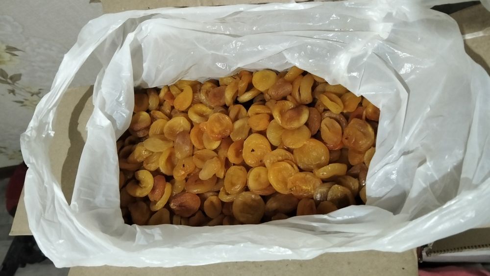 Курага оптомға сатылады.