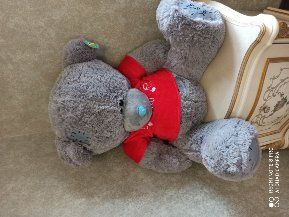 Teddy ойинчок янги биркаси билан