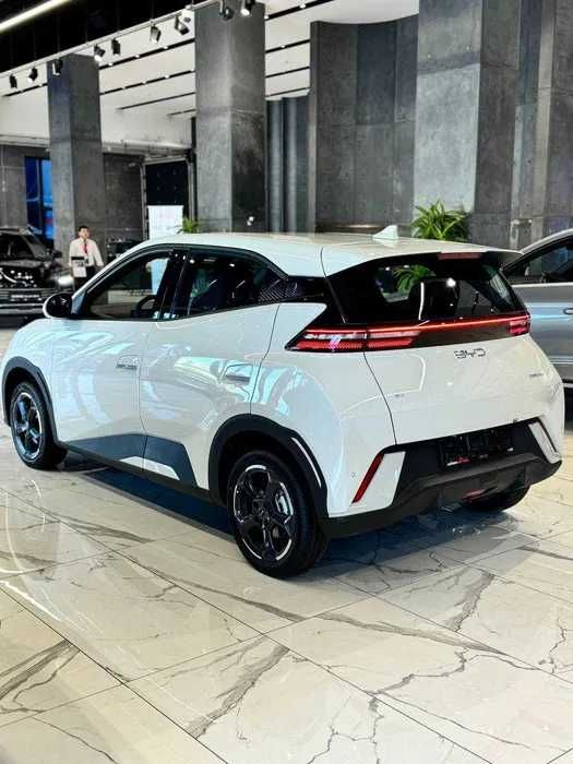 BYD Seagull pod zakaz