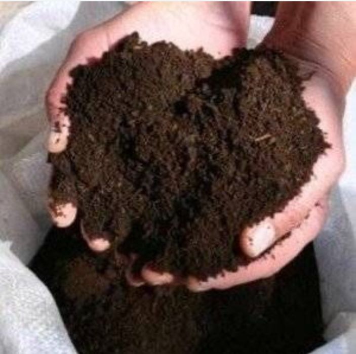 Биогомус Оптом Нархда