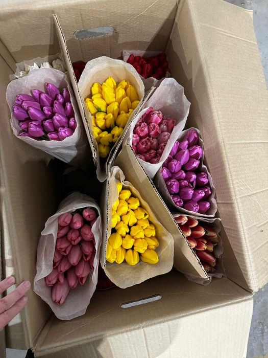 Тюльпаны к 8марту