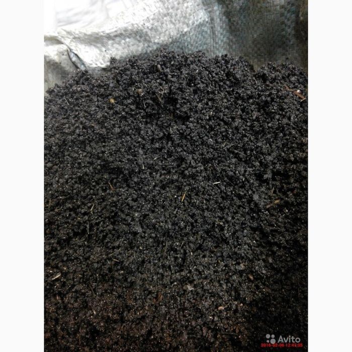 Биогомус энг сифатлиси