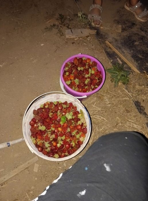 Продам дачу  срочно