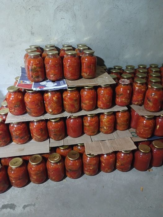 Наш адрес. Сайрам Менделеева 8,