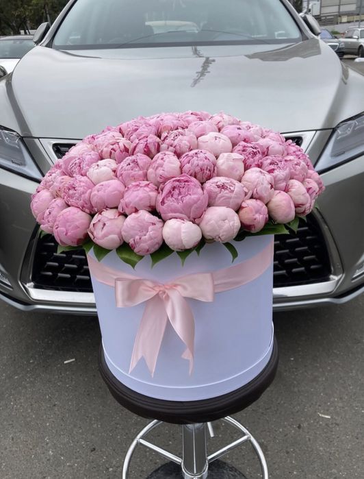 Розы Пионы цветы голландия