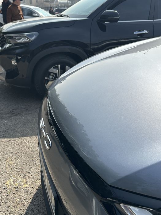 BYD E2 2023/24 Srochno