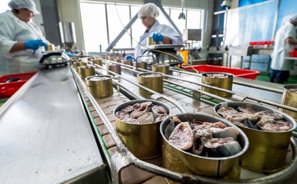 Оборудование для консервного производства