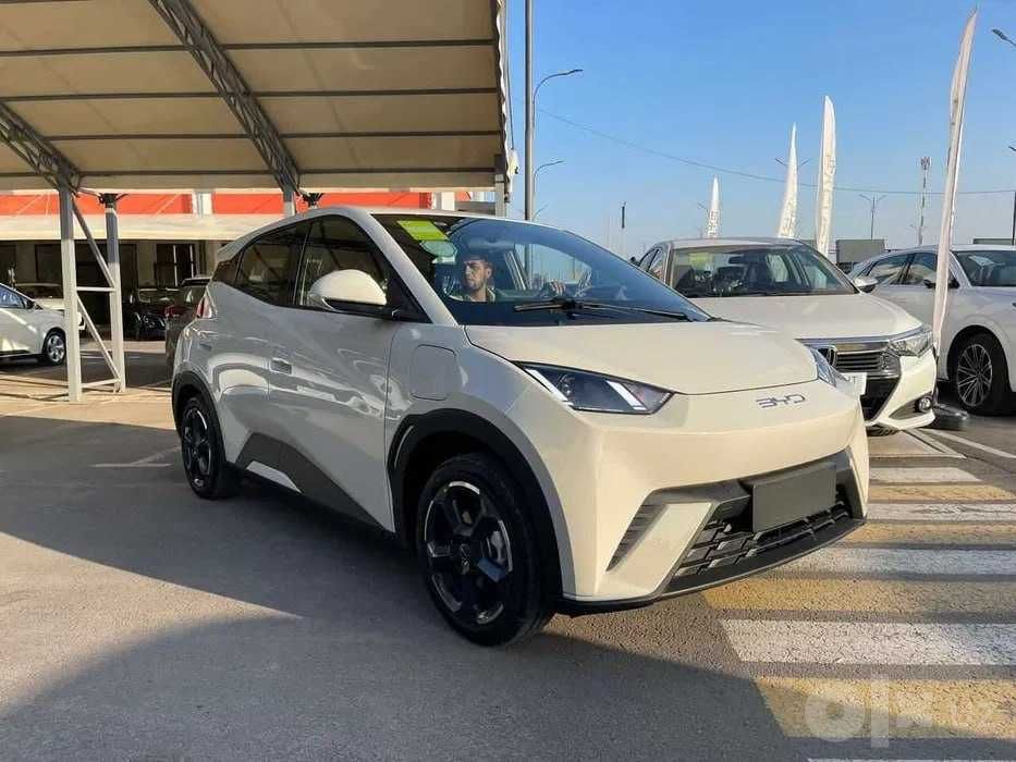 BYD Seagull Naqt va Rassrochkaga