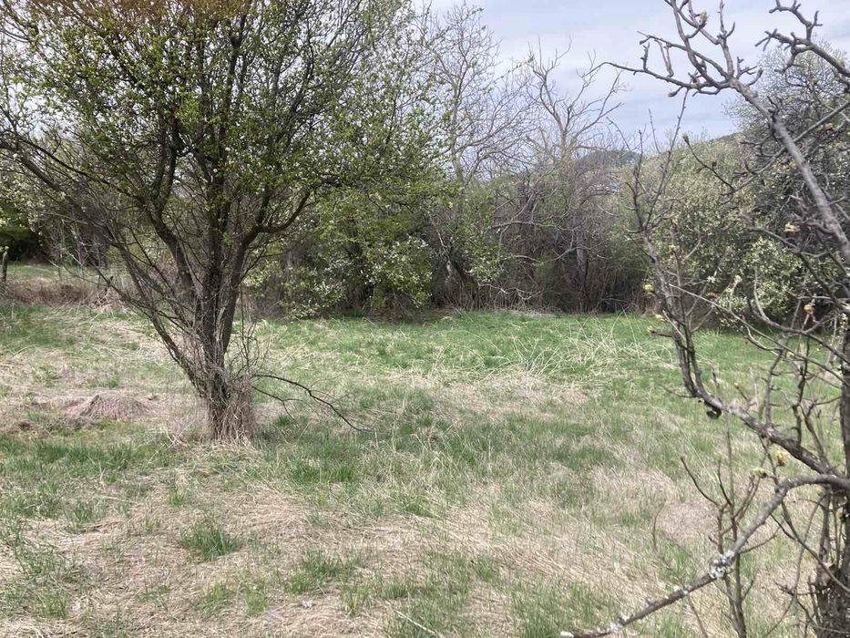 Продава се Парцел в с. Бабица, Област Перник - 1260 кв.м за 12 €/кв.м - Снимка #1