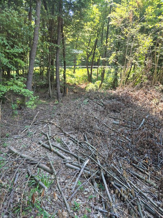 Teren intravilan de vanzare 3700m²