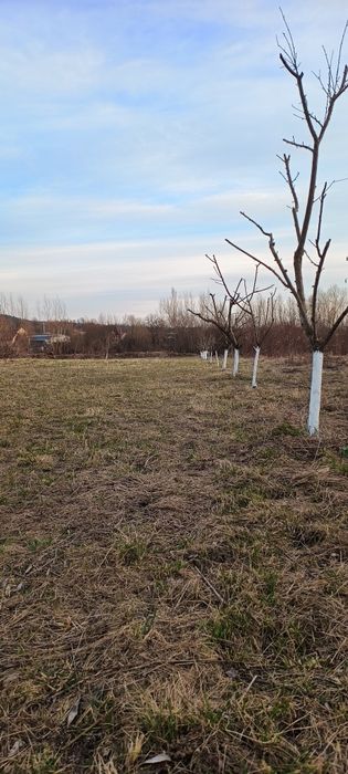 Teren Intabulat Intravilan cu Nr de Casa ,drum Privat 4600 mp