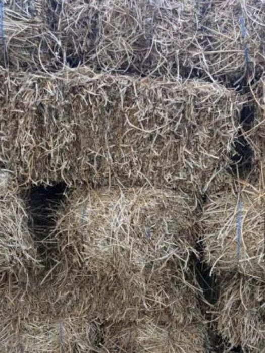 Vand baloți de lucernă