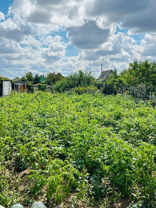Продам дачу на Темерязева г Степногорск