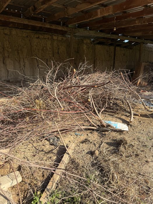 O’tinlar sotiladi, arzon narxda