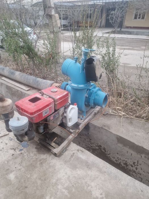 Jumong nasoʻs 250 lik