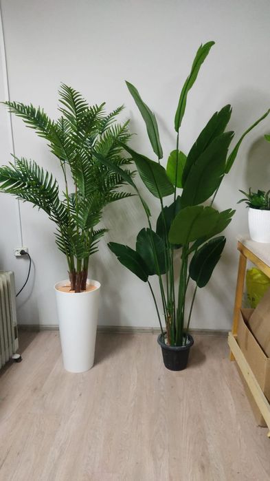 Искусственные пальмы