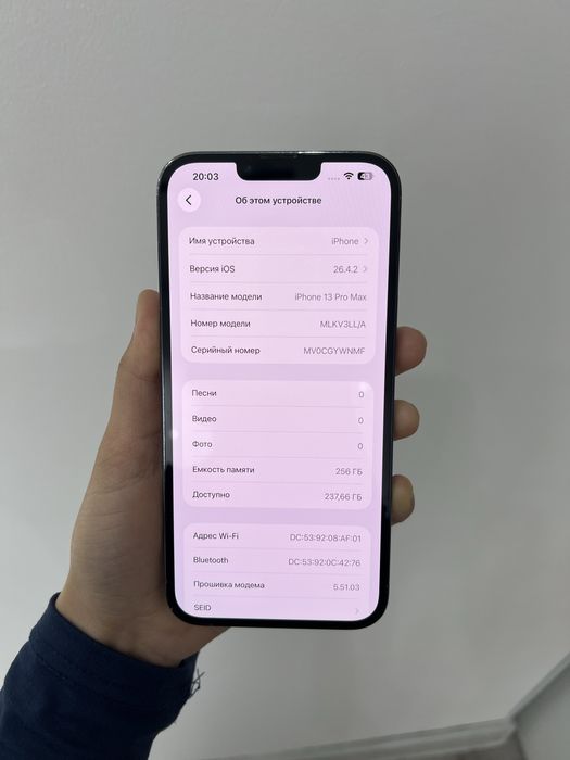 iPhone 13 Pro Max 256/81%