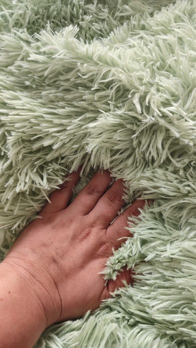 Pat culcus caini, pisici