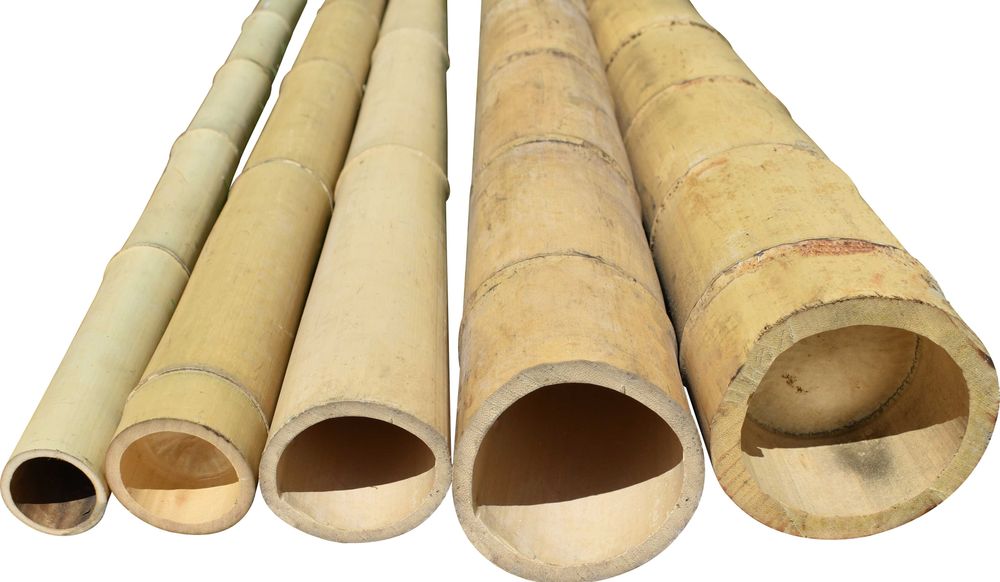 Бамбук на пръти, бамбукови огради и панели / Натурален бамбук