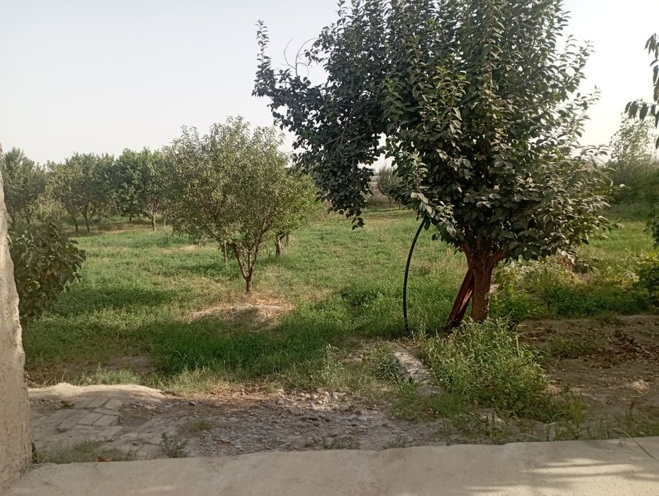 Kamolot mahallasida 8 sotikli yer uchastka sotiladi kelishamiz