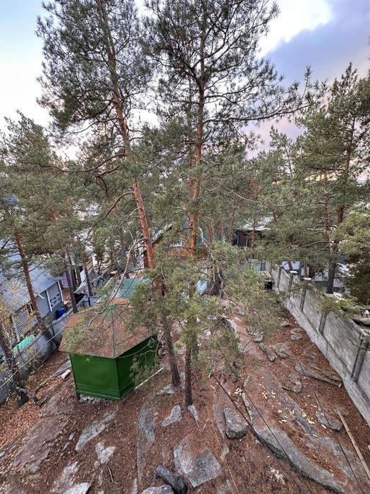 Продам три дома в бухтарме 1-ва береговая