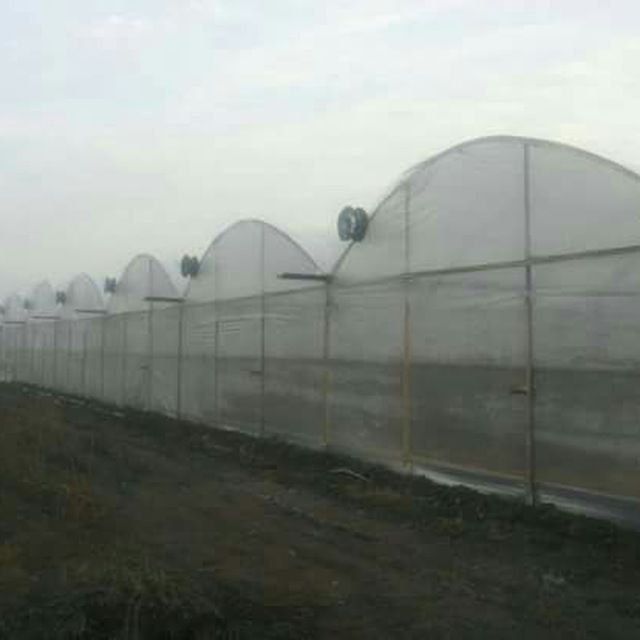 Sokicak krishalar yopamiz tomlar yopamiz