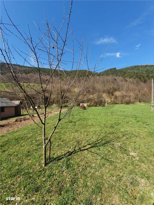 RECO Teren intravilan zona Bulz