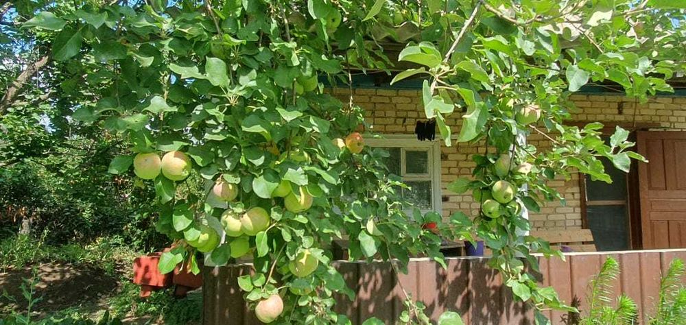 продам дачу в черте города